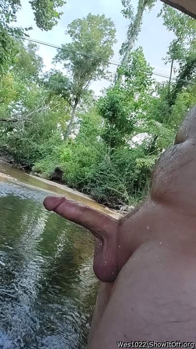 Adult image from Wes1022