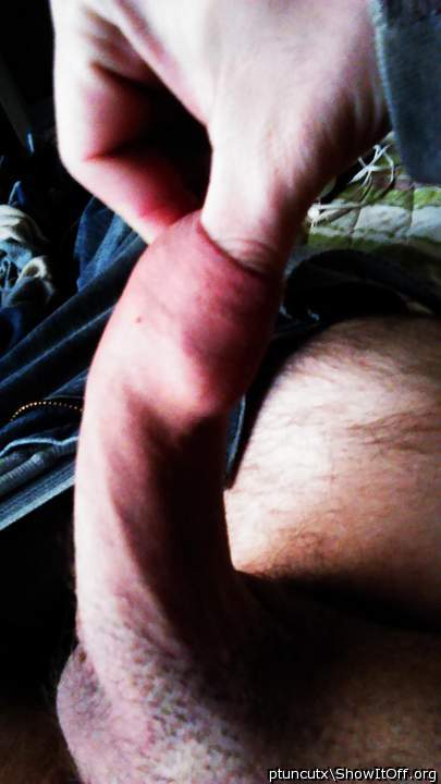 Adult image from ptuncutx