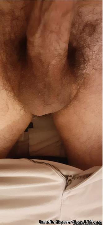 Adult image from DeadEndSperm