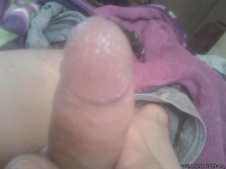 Adult image from Lucho