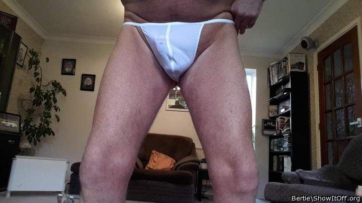 Adult image from Bertie