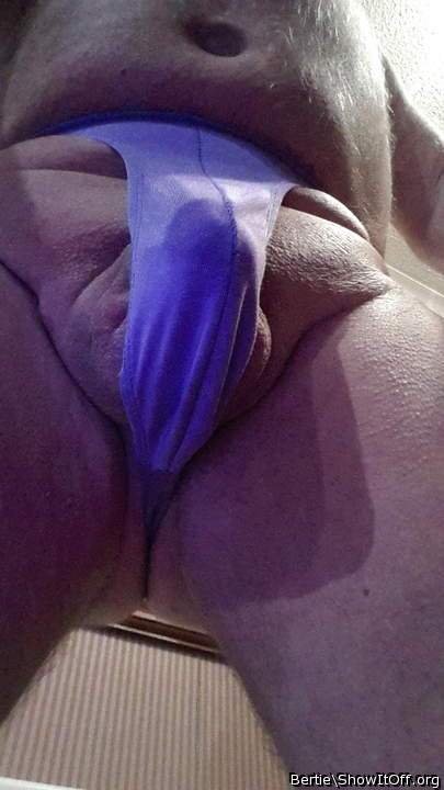 Adult image from Bertie