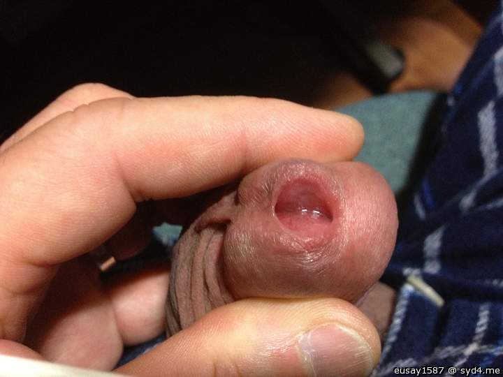 Adult image from eusay1587