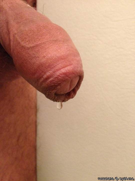 Adult image from roccotano