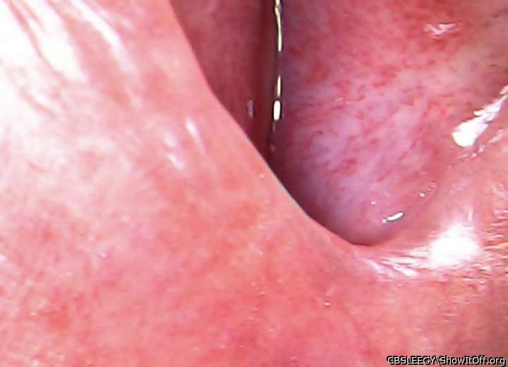 Check out these nerve endings near my cum hole!