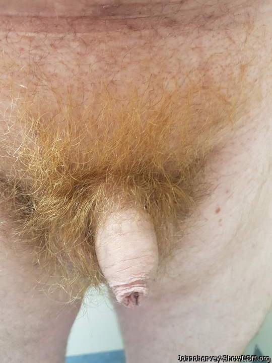 Very hot full ginger bush man!!