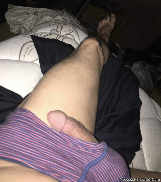 Adult image from Pibo2020