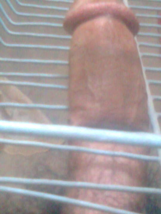 Adult image from luvmycock