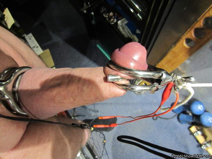Adult image from Pit66