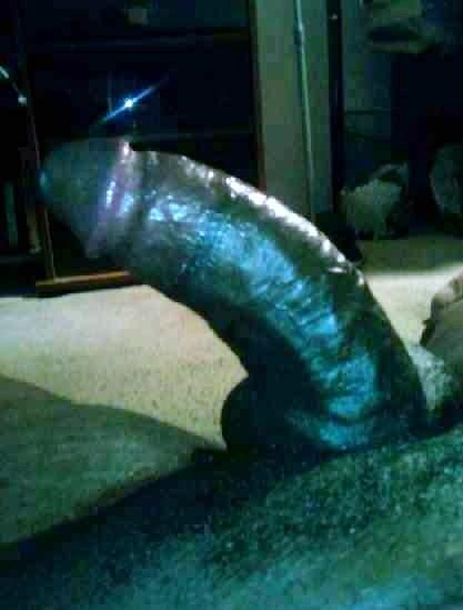 Adult image from Assman80