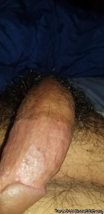 Adult image from Tarax711