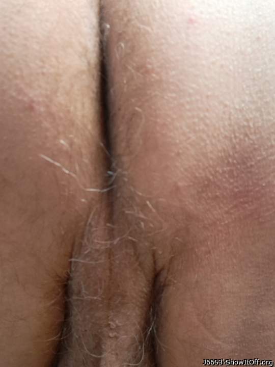 Adult image from J6653