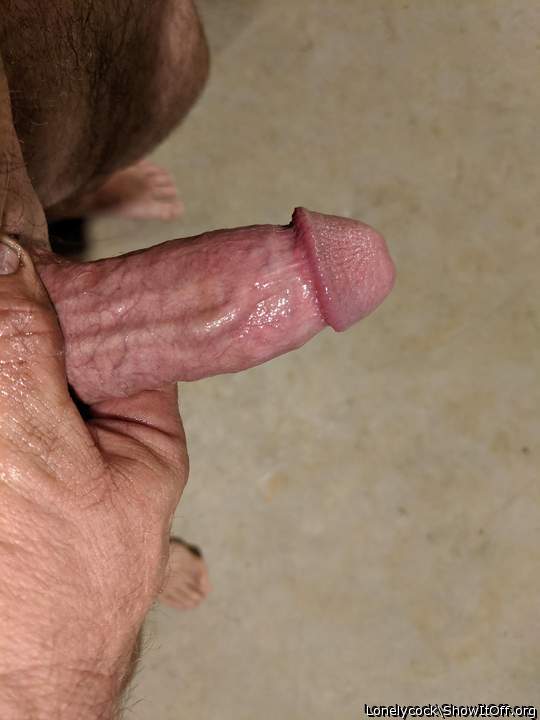 Adult image from Lonelycock