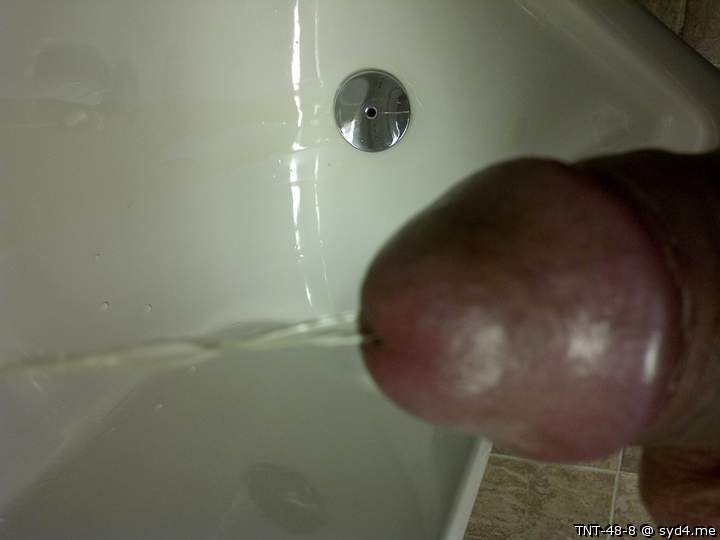 Adult image from TNT-48-8
