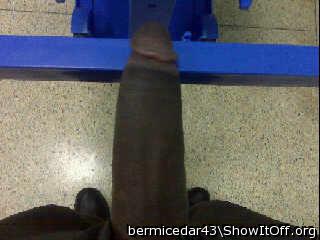 Adult image from bermicedar43