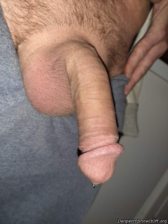 Adult image from Denpenn