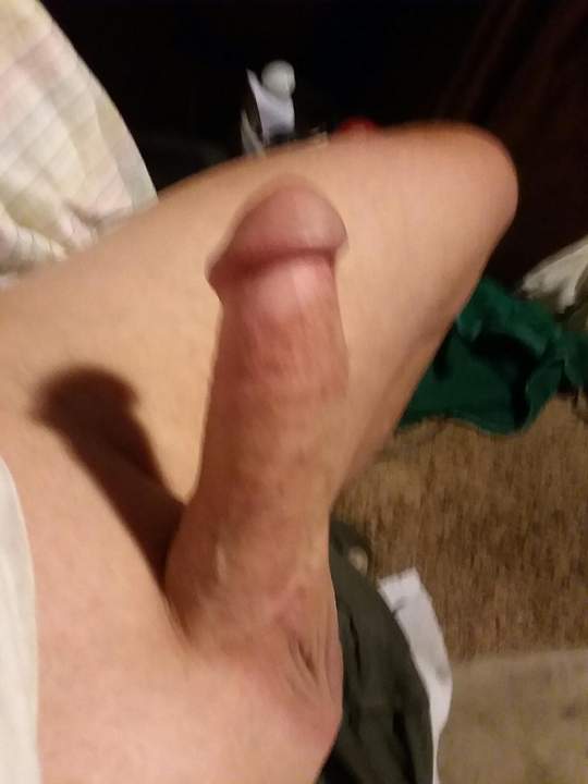Adult image from fish4free