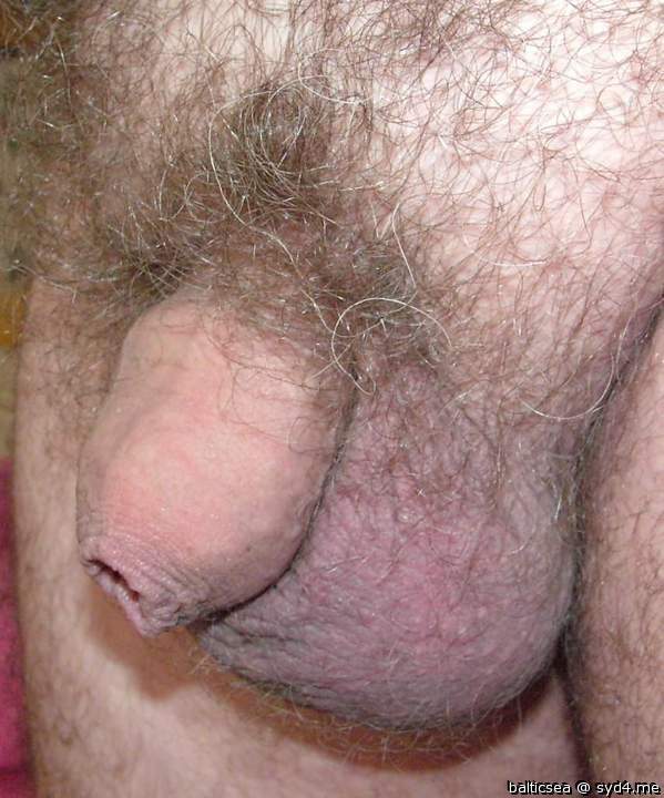 Adult image from balticsea