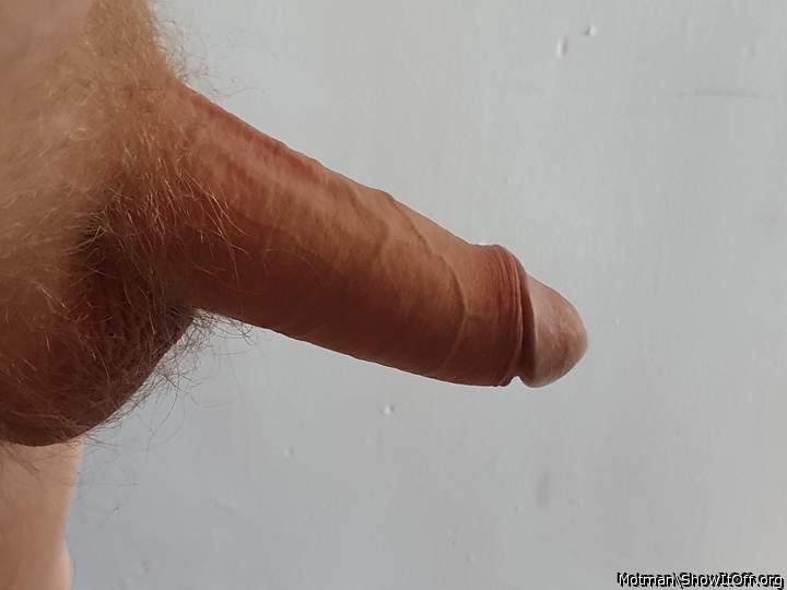 Adult image from Motman