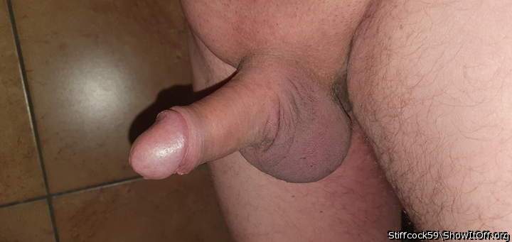 Adult image from Stiffcock59