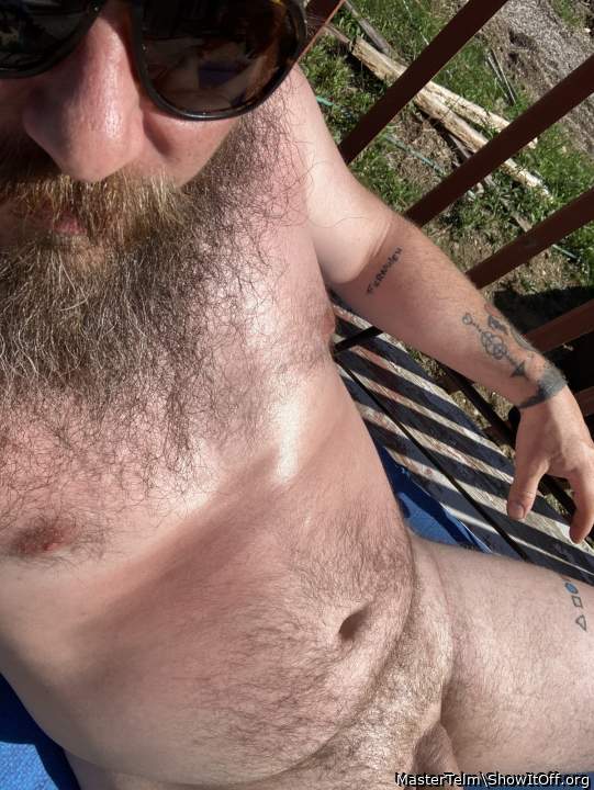 Adult image from MasterTelm
