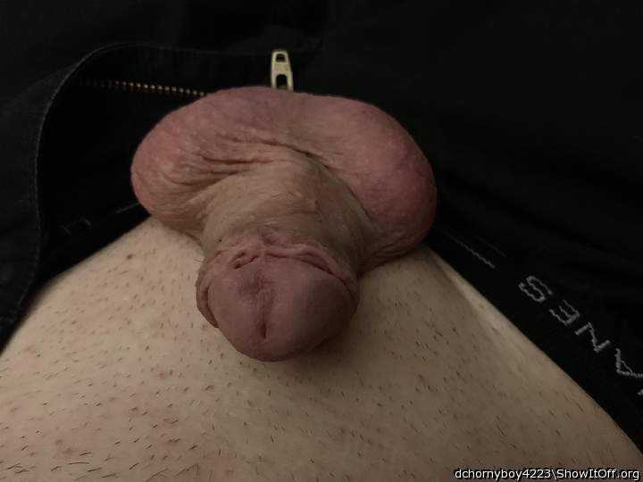 Adult image from dchornyboy4223