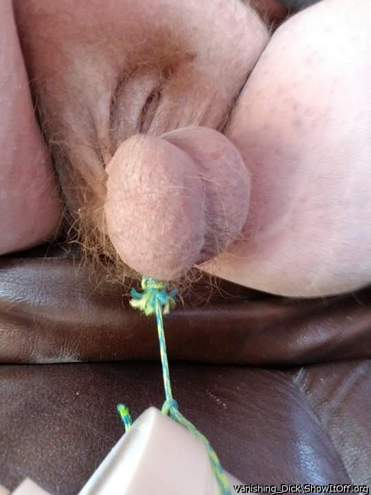 Adult image from vanishing_Dick