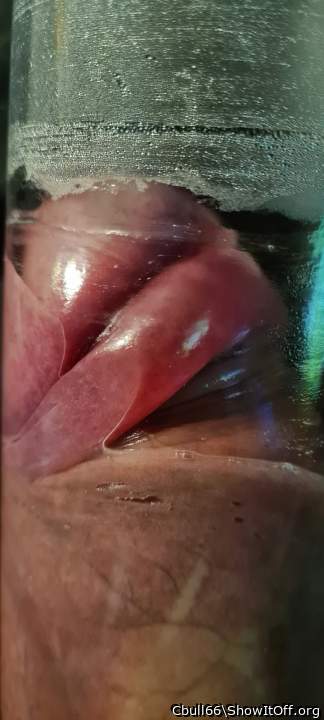 Adult image from Cbull66
