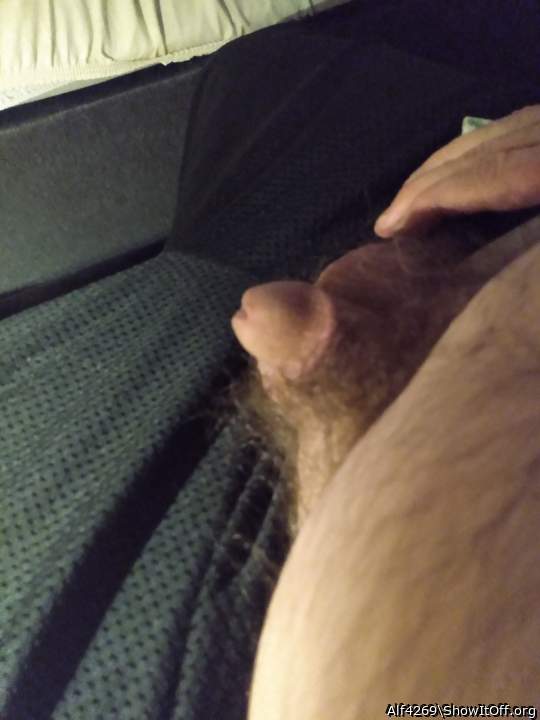 Adult image from Alf4269