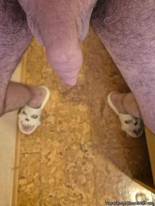 Adult image from Haralampi