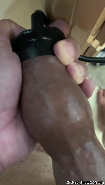 Adult image from CircPlay