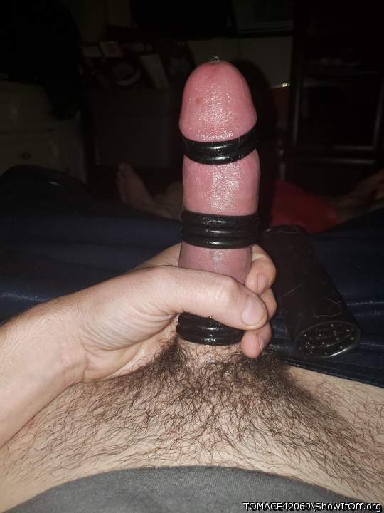 Adult image from TOMACE42069