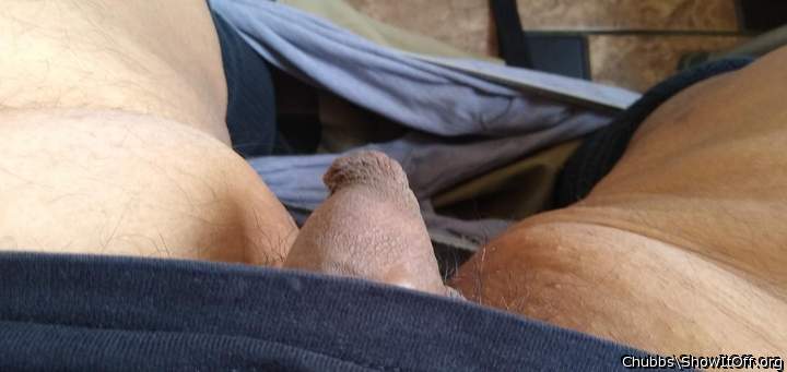 Adult image from Chubbs