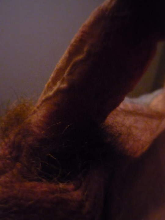 Adult image from cumnut89