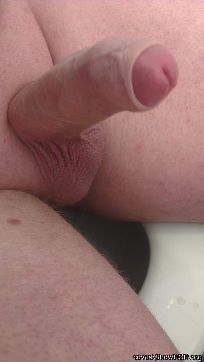Adult image from covas