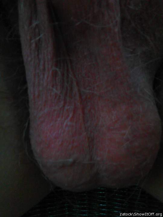 Adult image from zatock