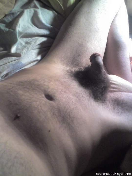 Adult image from Soerencut