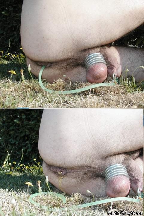 Adult image from medir