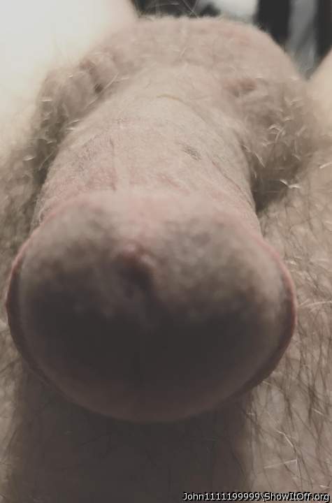 Adult image from John1111199999