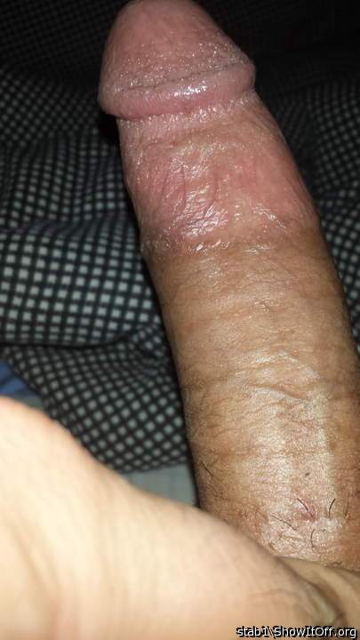 Adult image from stab1