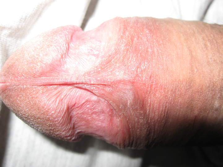 Adult image from porlokino