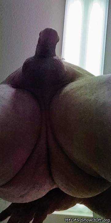 Adult image from M*C*S