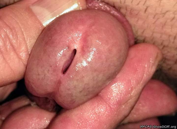 Adult image from M*C*S
