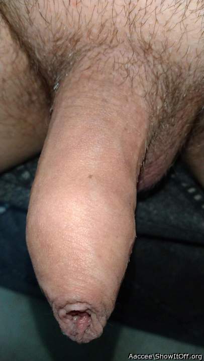 Adult image from Aaccee