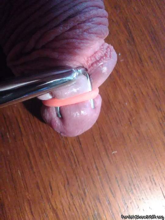Adult image from forcbt