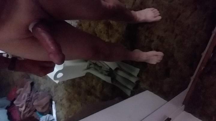 Adult image from fish4free