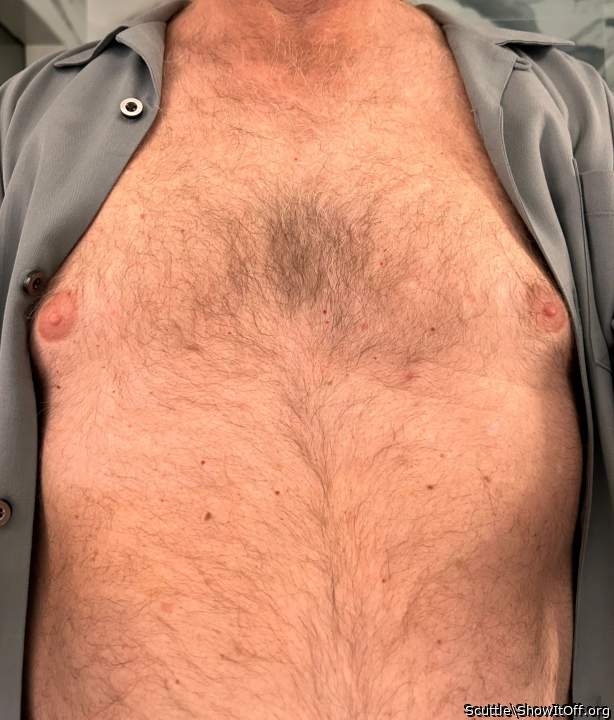 Adult image from Scuttle