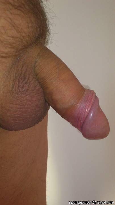 Adult image from spongeknob