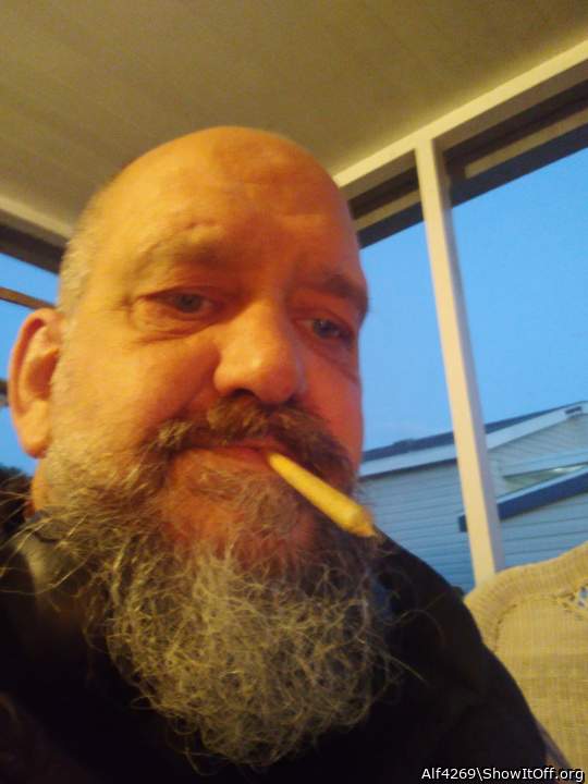 Adult image from Alf4269