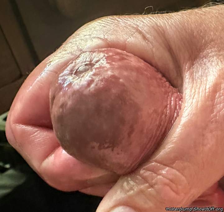 Adult image from misterplump